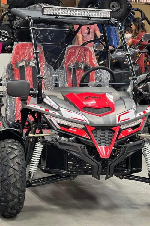 TrailMaster Cheetah 200EX Go Kart